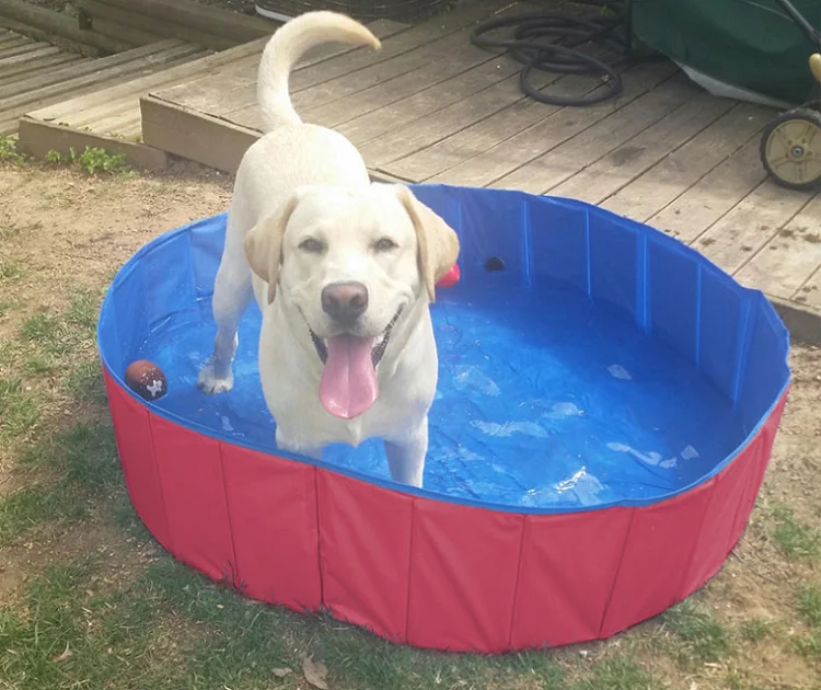 U619f88a26fdc49aeadd521ad85569932V