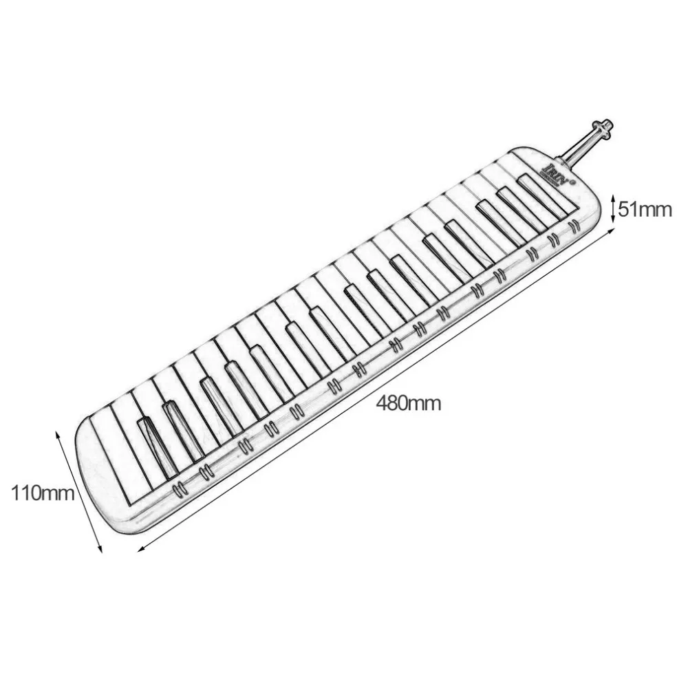 ZP483801-S-2-1