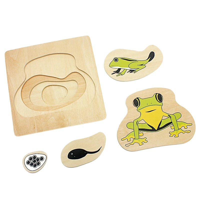 

Infant Teaching Aids Toddler Life Cycle Of Frog Puzzles Multi-Layer Grow Up Puzzles Jigsaw Preschool Kids Baby Toys