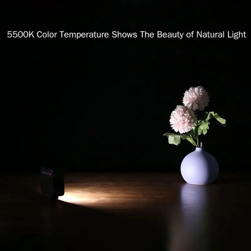 Upgraded Photographic Lighting 5500K soft light board 2000mAh 49 LED Video Photography Lights 14 Screw (5)