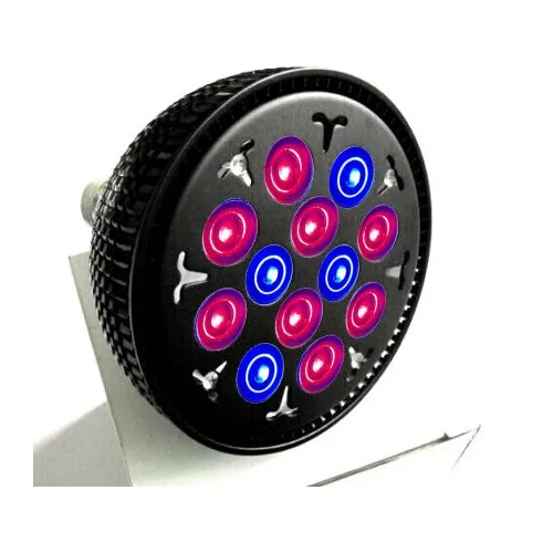 Color 6