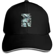 Bluejay Snapback Кепка с плоским козырьком шляпы хип-хоп кепка s для мужчин и женщин