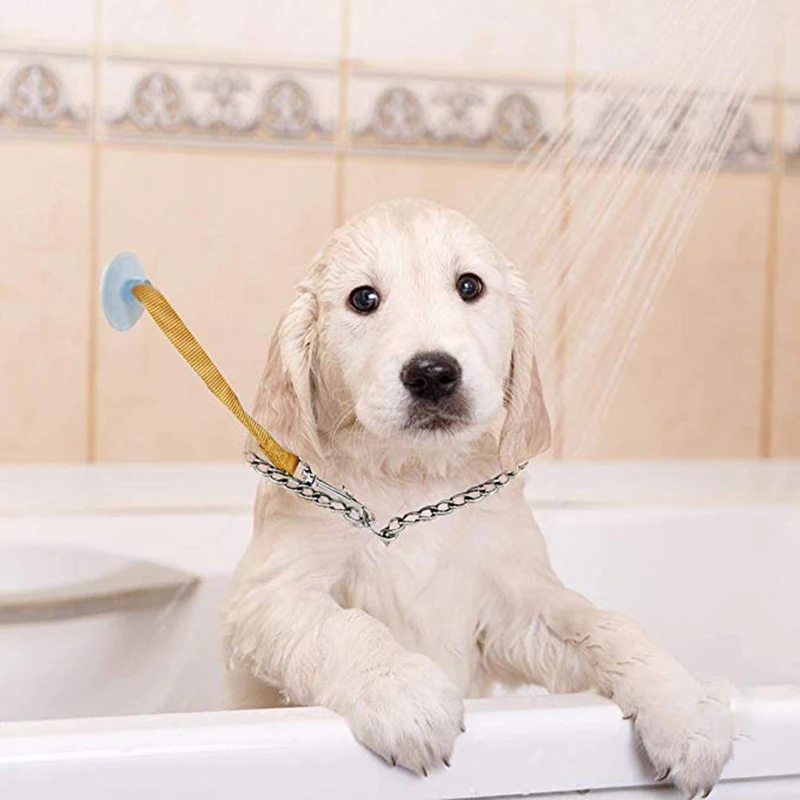dog bathing tether