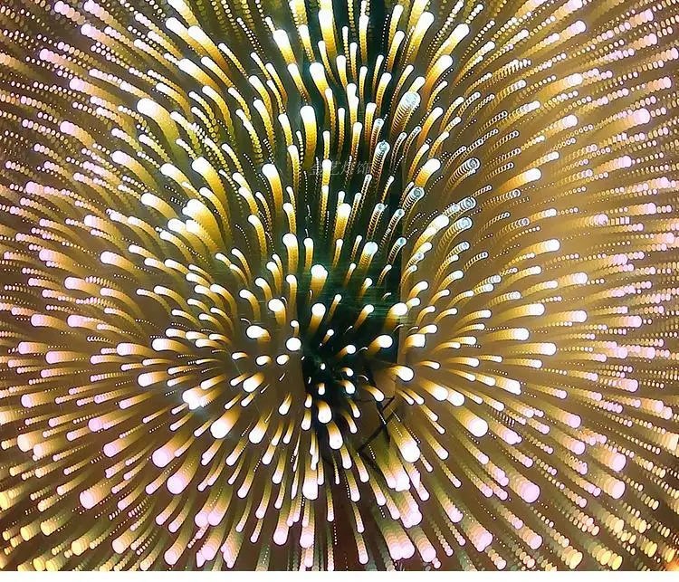 TB2WSJjXBH8F1Jjy0FnXXb5AXXa_!!1849488660