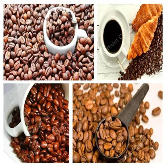 Big-promotion-Pure-Arabic-Coffee-Bean-Outdoor-Bonsai-Potted-Fresh-Arabica-Coffea-Tree-100-Natural-Coffeebean