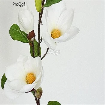 

Ngryise 500Pcs A Set Magnolia