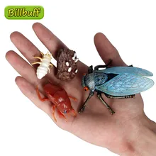 蝉おもちゃ Aliexpress Version で 蝉おもちゃを送料無料でお買い物