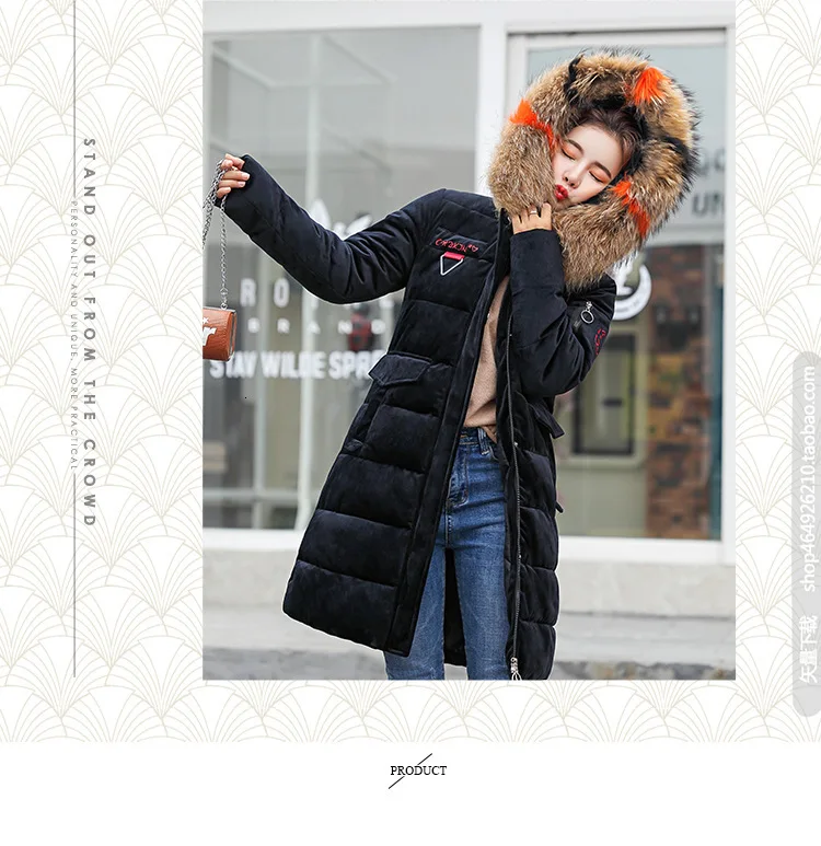 9030894184_1006637240