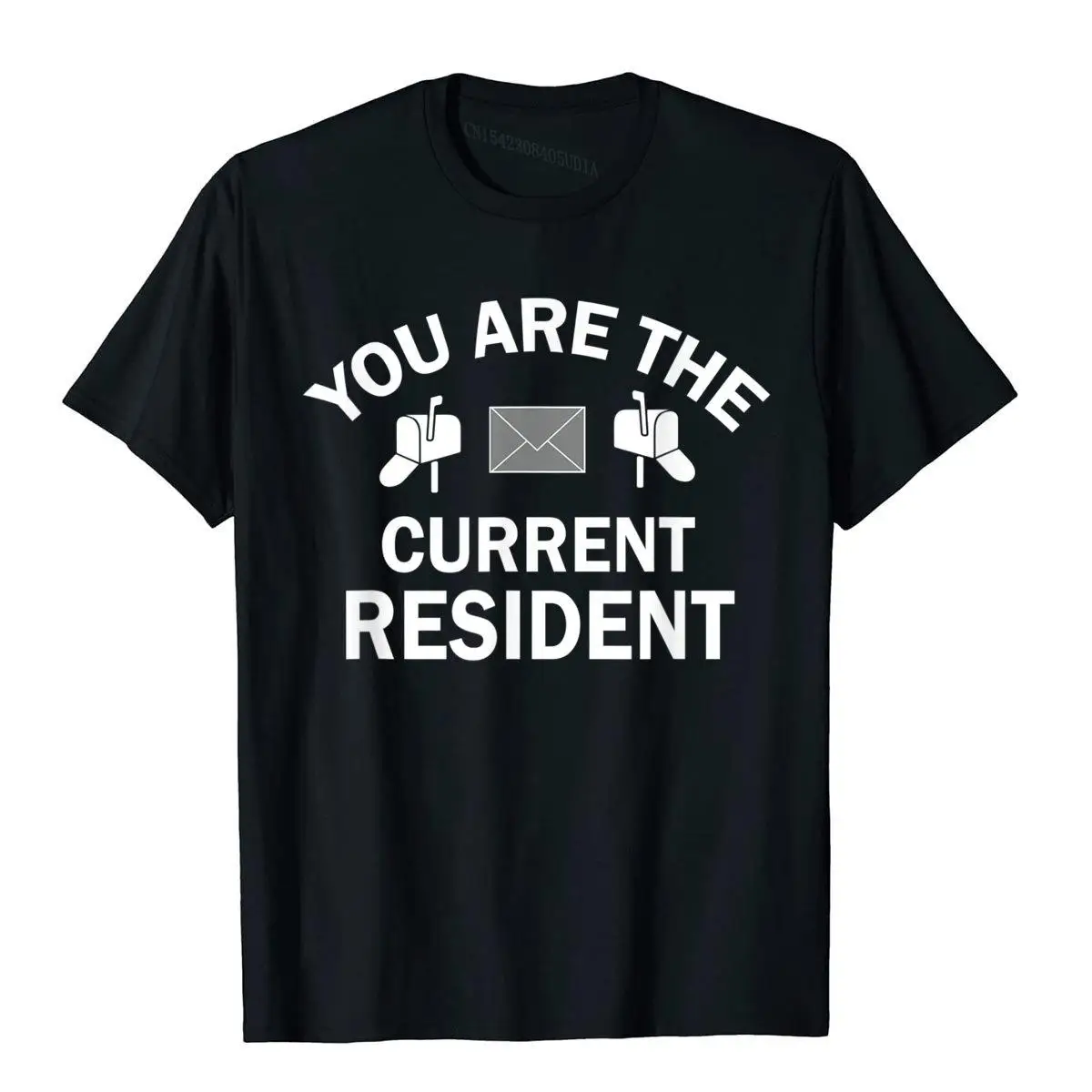 You Are The Current Resident Funny Postal Workers T-shirt T-Shirt__B9654black