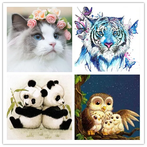 36020190327214603197_