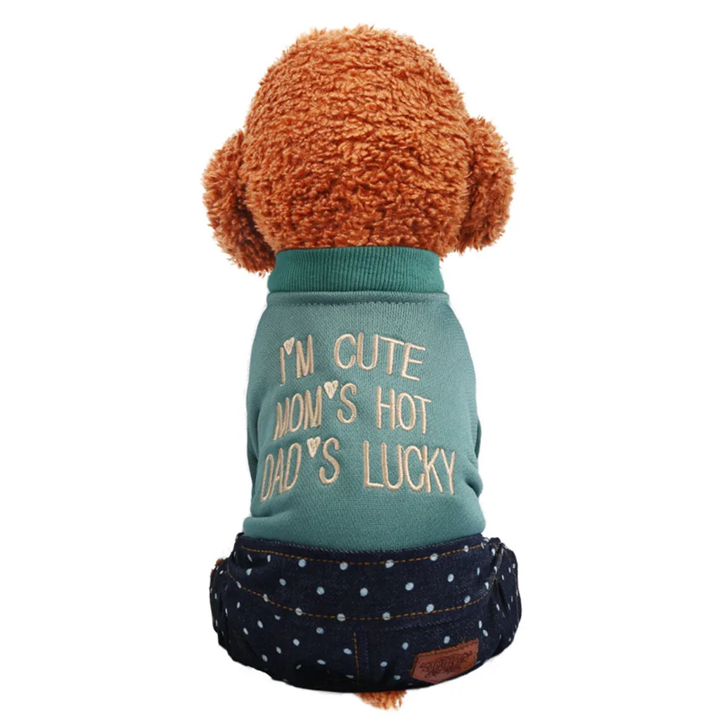 

dog clothes Autumn Winter 2019 Fashion Letter Printed dogs pets clothing For Small Medium Large dog cloths ropa para perro