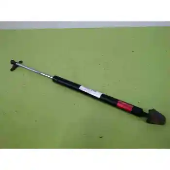 

BOOT SHOCK ABSORBERS/PORTON LEXUS RX