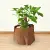 Coco Liner Sheet Coconut Palm Mat Cuttable Floor Mat Door Mat Coir Mat Coconut Silk Roll Fiber Palm Carpet for Plant