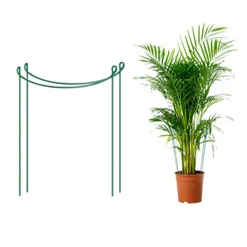 

Flowers Vine Garden Supply Garden Support Stake Garden Plant Supports Ring Border Support Plant Support Ring Cage #2