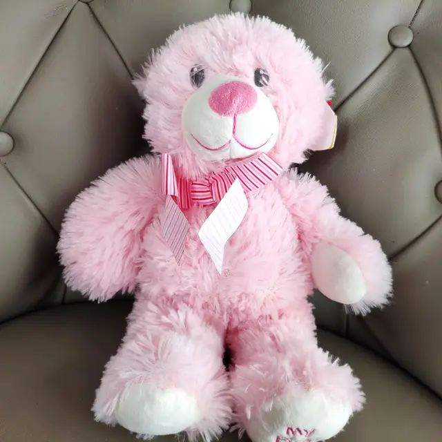 my first stuffed animal