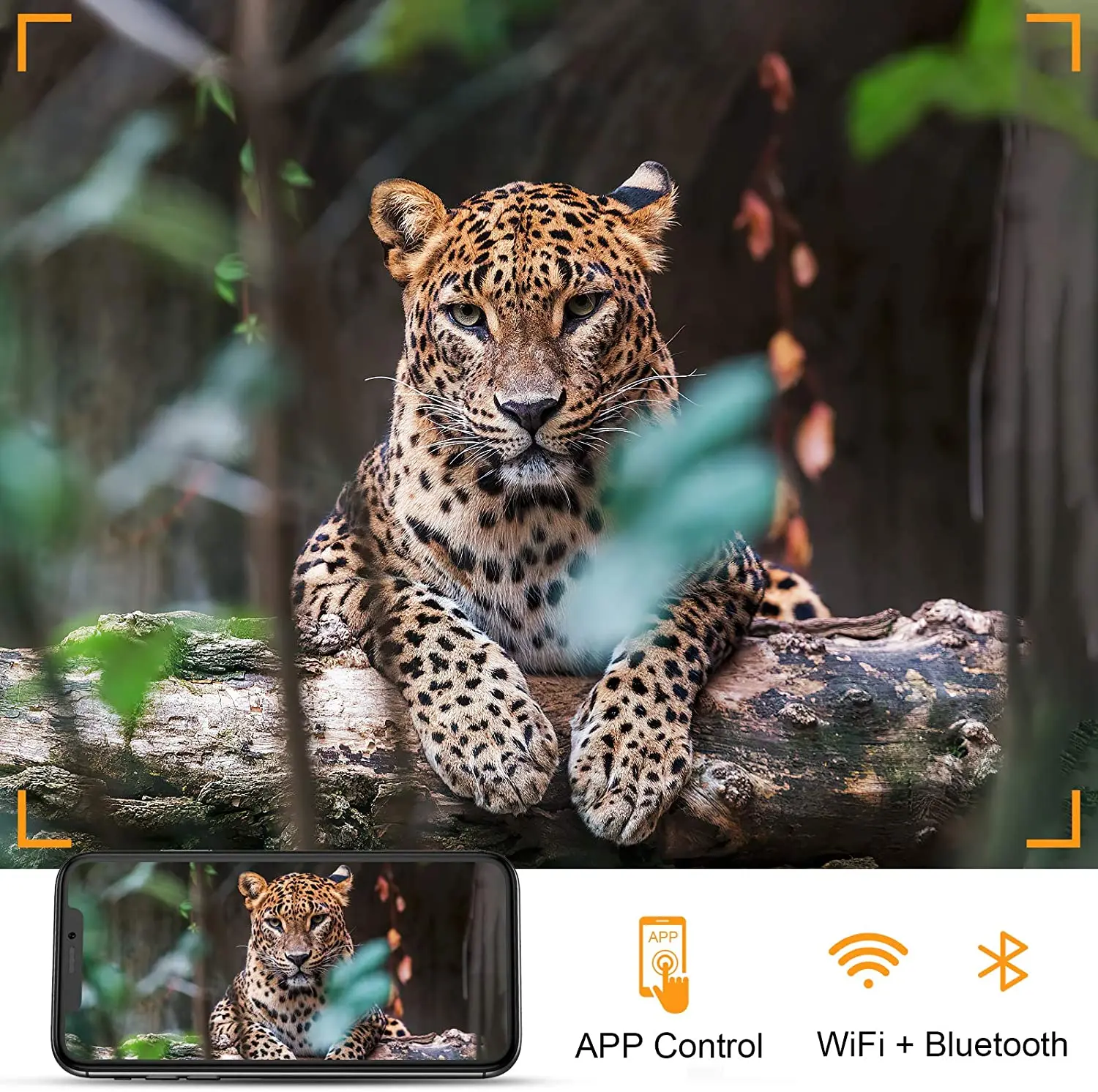 Hunting Trail Camera Trail Camera 4K Video Live Show Hunting Trail Camera 30MP WIFI801PRO APP Bluetooth Control Night Vision Photo Trap Cameras
