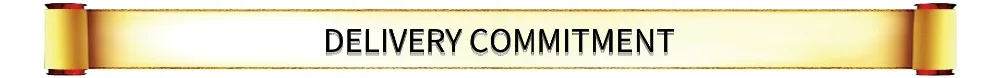 SDELIVERY COMMITMENT