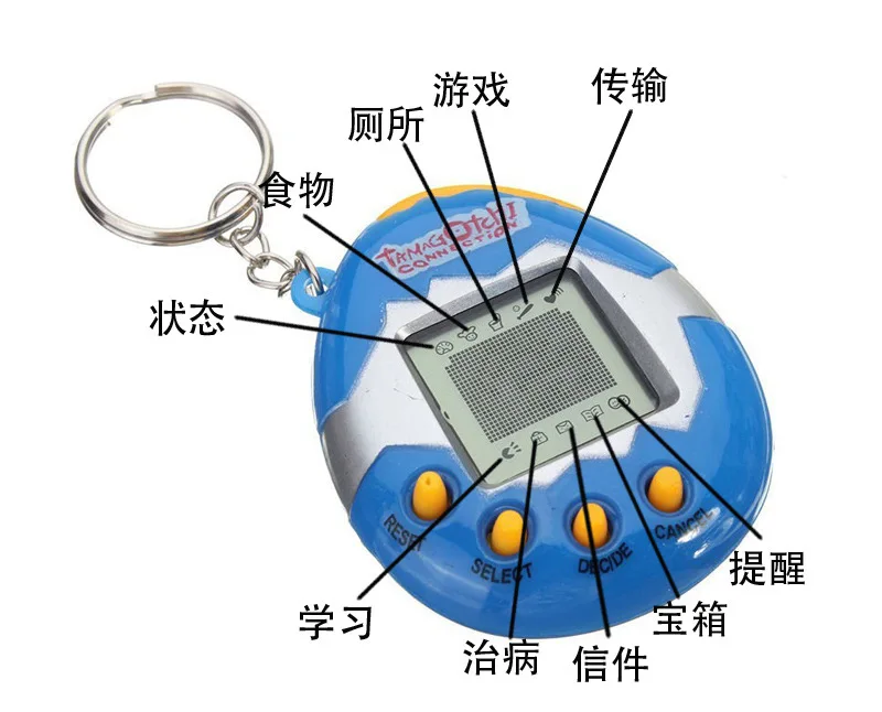 7424465175_1613389967