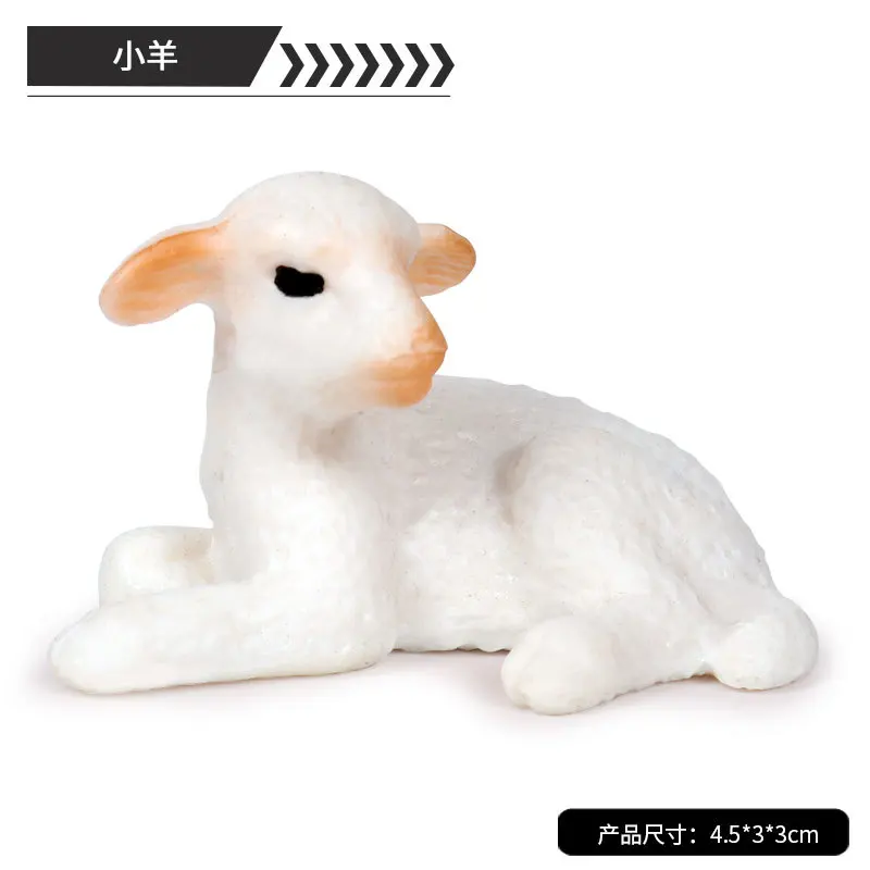 10779400146_1464955482