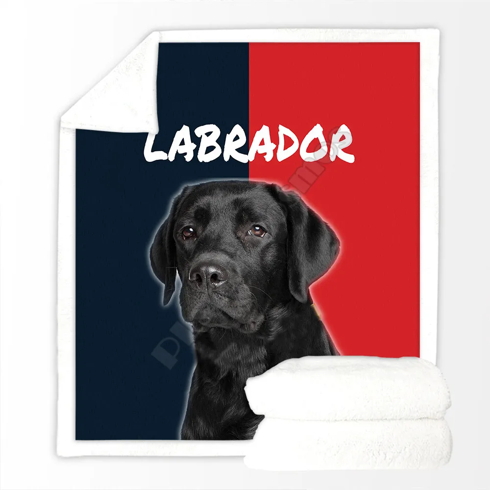 ��� ���� �ָ� �ƴ��� �����̾� ���� �θ��� 3D �μ� ���� ��� ħ�� Ȩ ���� �� ����