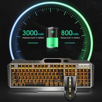 Computer Peripherals