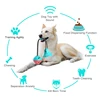 Molar Bite Dog Toy with Durable Rope and Suction Cup for Pulling Chewing Teeth Cleaning Self Playing Tog for Dogs VIP dropship ► Photo 2/6