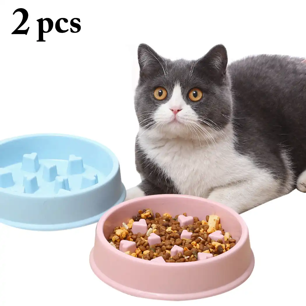 cat food dish to slow down eating