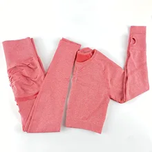 Sem costura roupa de treino roupas de ginásio wear esporte fitness yoga conjunto feminino 2 peça manga longa top colheita camiseta leggings ginásio conjunto