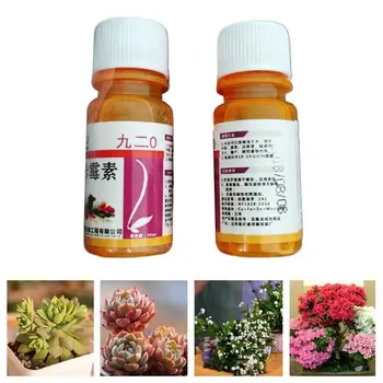 

1 Bag Carbendazim Bulbs Plants Rooting Growth Hormone Drugs Sterilization Pesticides Fungicides Insecticides Pharmacy Fertilizer