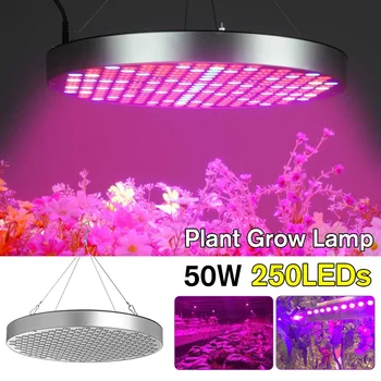 

50W 250LED Plants Grow Light Panel Full Spectrum LED Phyto Lamp For Indoor Garden Flowers Plants Greenhouse Hydroponic Growing