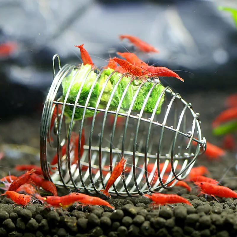 Small Feeding Cage Bait font b Pet b font Feeder Stainless Steel Nesting Device Ornamental Shrimp