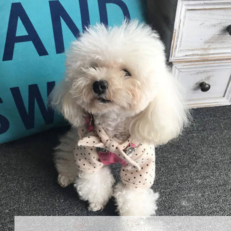 new Denim strap dog dress skirt cute Pet Clothes skirt Teddy Sling Dog CostumeSpring autumn Puppy Pet Clothing for Dogs