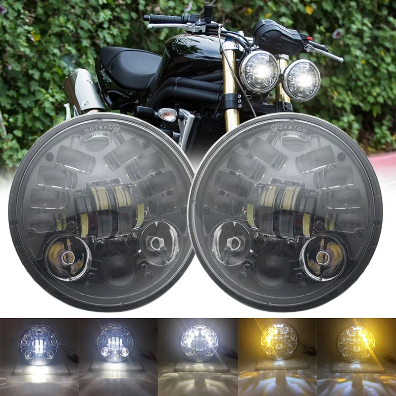 019