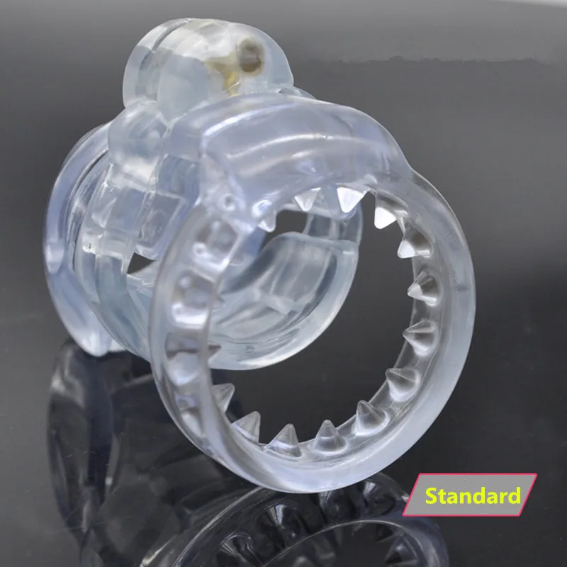 4550404313_222136412