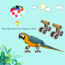 bulk parrot toys