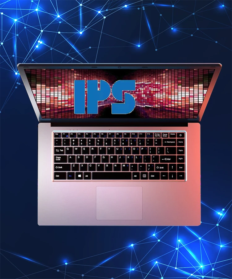 IPS 2