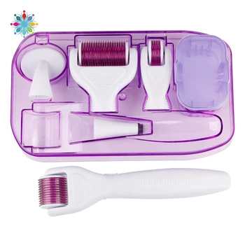 

6Pcs/Set 0.5/1.0/1.5mm Needle Rollers 6 In 1 Face Roller Needle Silicone Brush Disinfecting Tray