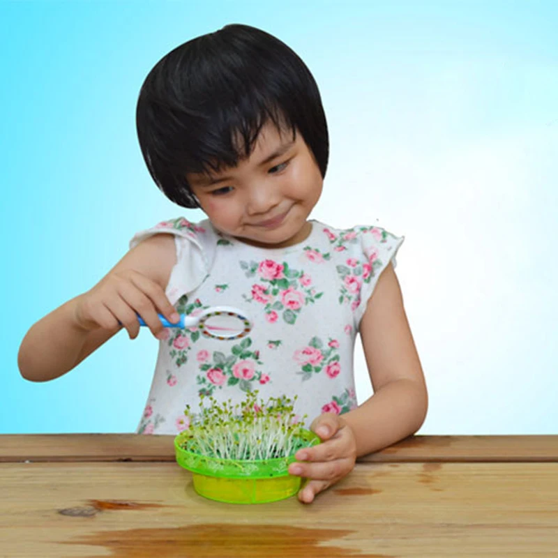 Семена Петри DIY растения културист раннее образование игрушка игрушки для