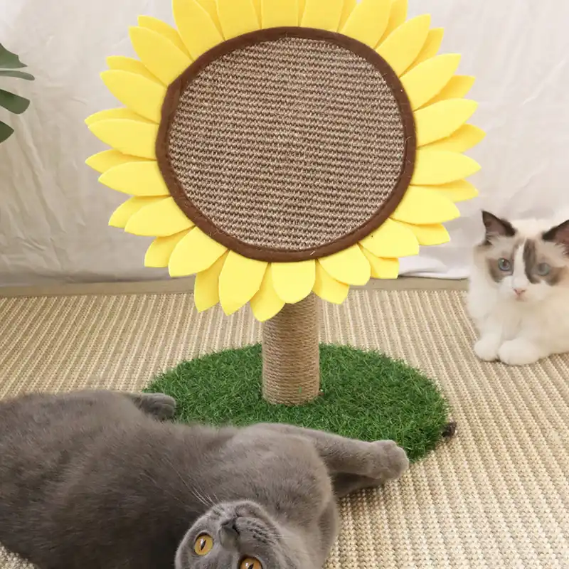 sunflower scratching post