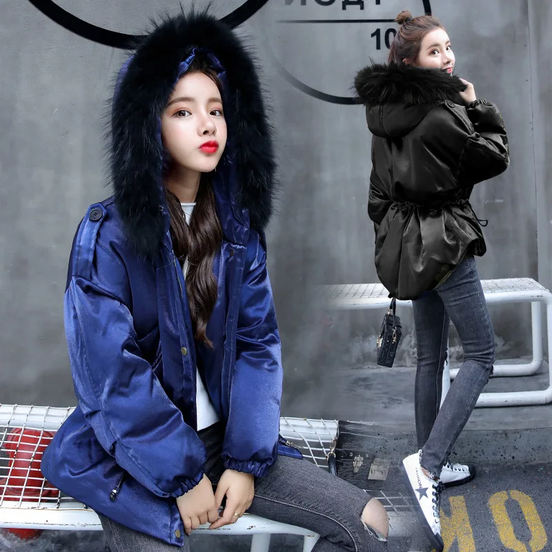 

Small Cotton-Padded Jacket Women's Short 2018 Winter New Style Korean-style Waist Hugging Slimming Students Versatile Cotton Coa