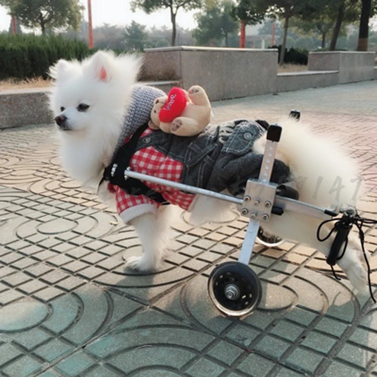 

Dog Wheelchair Hind Limbs Pet Scooter Disabled Dog Hind Legs Assisted Cat Teddy Large Small Dog Bracket