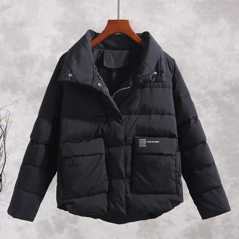 

Женская короткая стеганая куртка из матовой ткани, новинка 2024, зимние свободные женские корейские стеганые куртки с воротником-стойкой