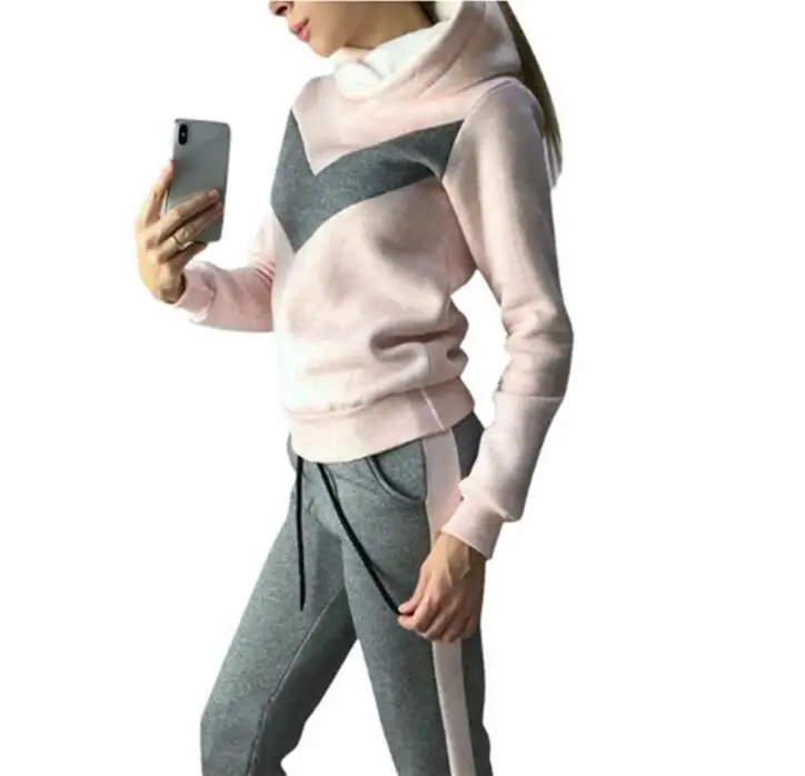 Женский костюм комплект из двух предметов осенне-зимний женский спортивный костюм женские куртки с длинными рукавами брюки комплект из двух предметов теплый наряд женский костюм - Цвет: Pink 2Pcs
