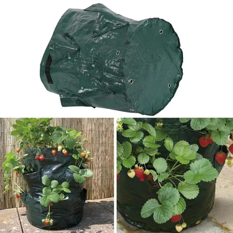 1Pcs Gardening Green PE Woven Plant Bag Multi-port Strawberry Herb Planting Bag Sweet Potato Vegetable and Fruit Potting Bag 1Pcs Gardening Green PE Woven Plant Bag Multi-port Strawberry Herb Planting Bag Sweet Potato Vegetable and Fruit Potting Bag