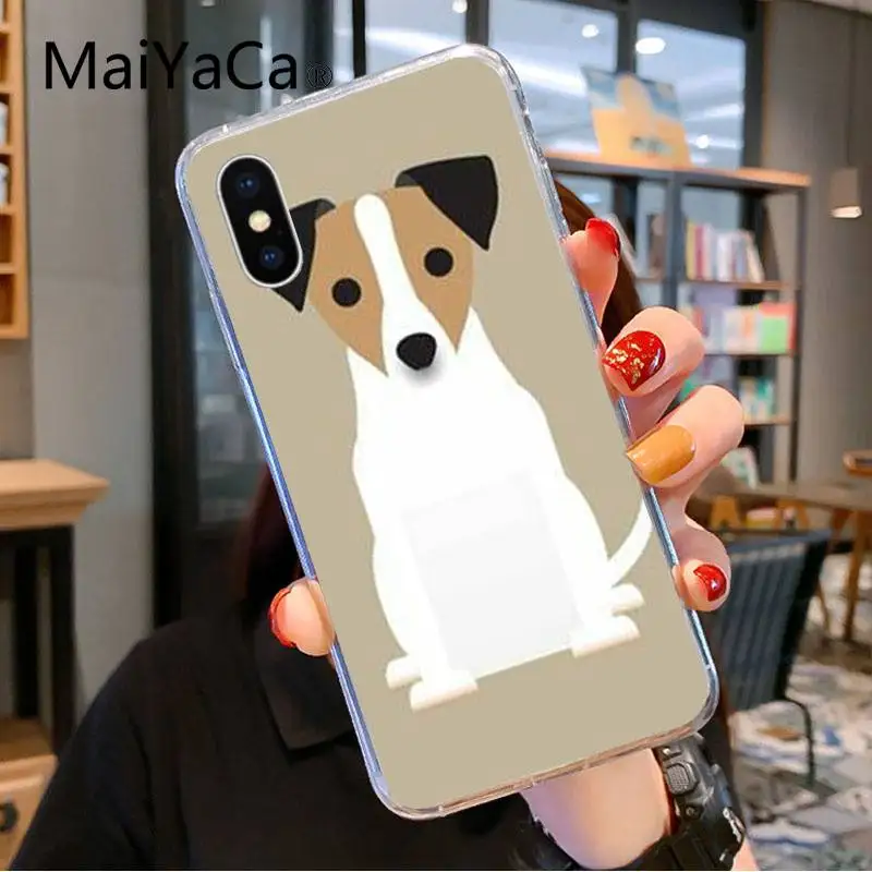 Jack Russell Terrier Dog