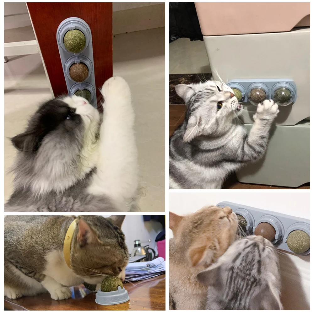 Новая кошка Кошачий мячик, закуска, домашнее животное, здоровое настенное крепление, Прорезыватель зубов, игрушка, погоня за мячом, игрушки