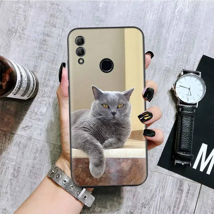 Британская кошка черная крышка чехол для телефона для huawei Y9 Y5 Y6 Y7 Honor 10 9 Lite 9X8X8 S 8A фотоаппаратов моментальной печати 7S 7A 10i 20i V20 Coque Кепки