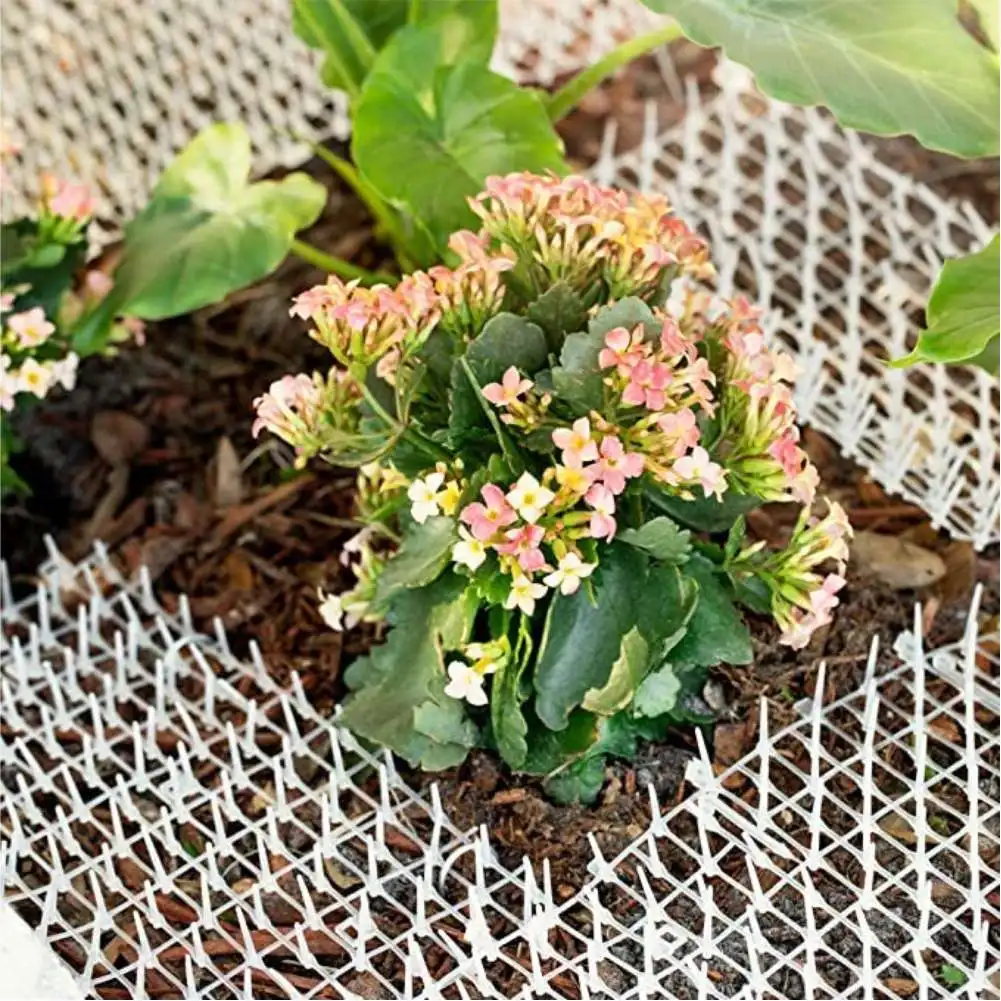 고양이를 안전하고 인도적으로 쫓아내는 Gardening Cat Scat Mat