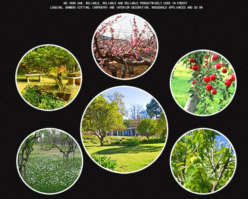 11074444440_1878238157