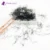 Flash girl customize private label premade fans 6D lashes 1000 вентиляторов оптом с квадратной пластиковой коробкой